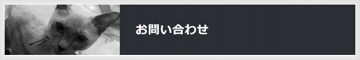 お問い合わせ