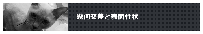 幾何交差と表面性状