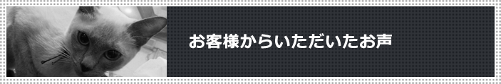 お客様からいただいたお声